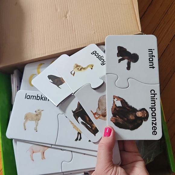 Stem Leaning Games - Picture 8 of 9